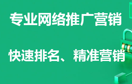 贵州全网营销服务公司