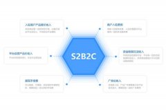 未来10年新商业发展模式S2B2C模式，贵州网络推广公司浅谈